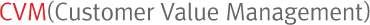 CVM(Customer Value Management)